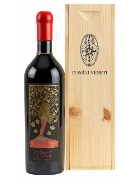 Amarone della Valpolicella DOCG Classico Riserva -MATER Astuccio Legno 2017 – Domìni Veneti