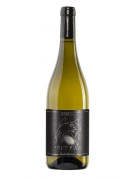 Marche Bianco IGT - ANIMALE CELESTE 2024 - Santa Barbara 