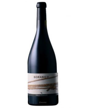 Marche Rosso IGT - BORANICO 2019 -  Alberto Serenelli