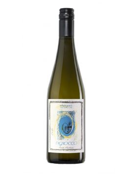 Verdicchio dei Castelli di Jesi DOC - PIGNOCCO 2023 - Santa Barbara 