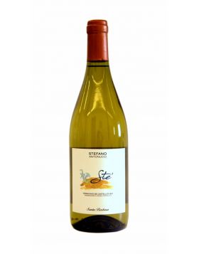Verdicchio dei Castelli di Jesi DOC - STE' 2024 - Santa Barbara 