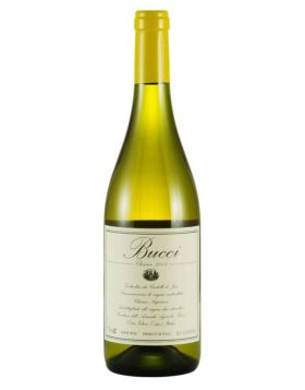 Verdicchio Classico Superiore dei Castelli di Jesi DOC 2023 - BUCCI 