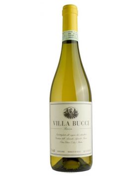 Verdicchio dei Castelli di Jesi Classico Riserva DOC - VILLA BUCCI 2021 - BUCCI 